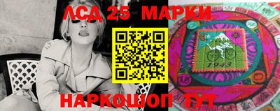 гидра Краснокаменск