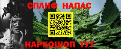 спиды Краснознаменск