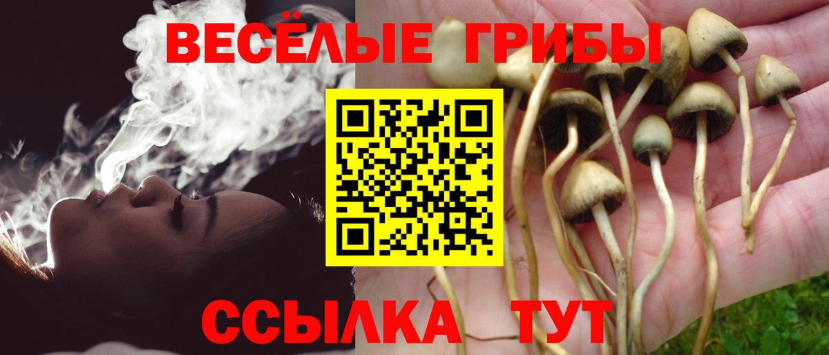 Кострома  Псилоцибиновые грибы Psilocybine cubensis  цены наркотик  Вход с VPN 